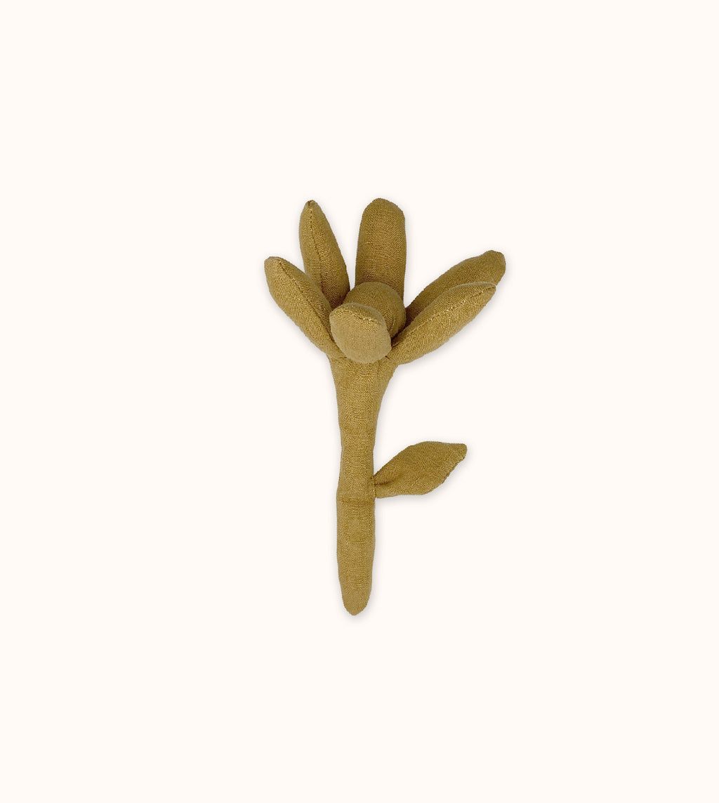 settepetali