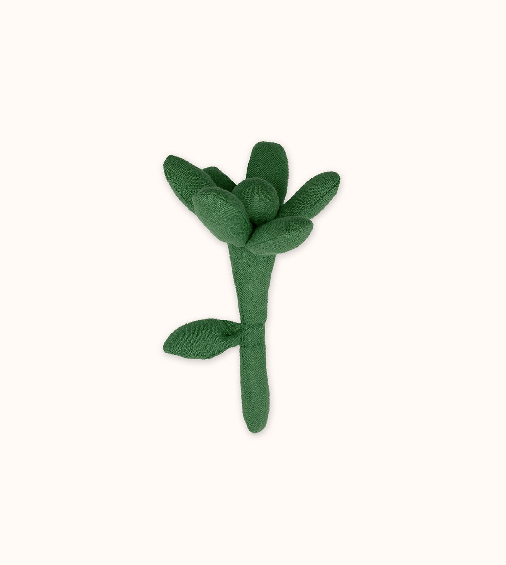 settepetali