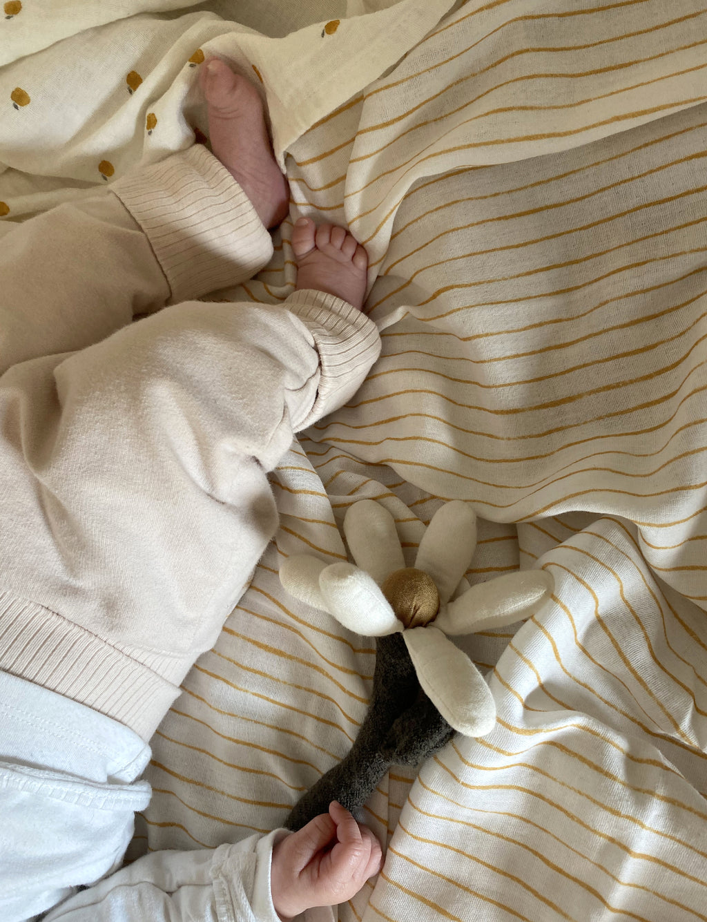 fiore di mamma