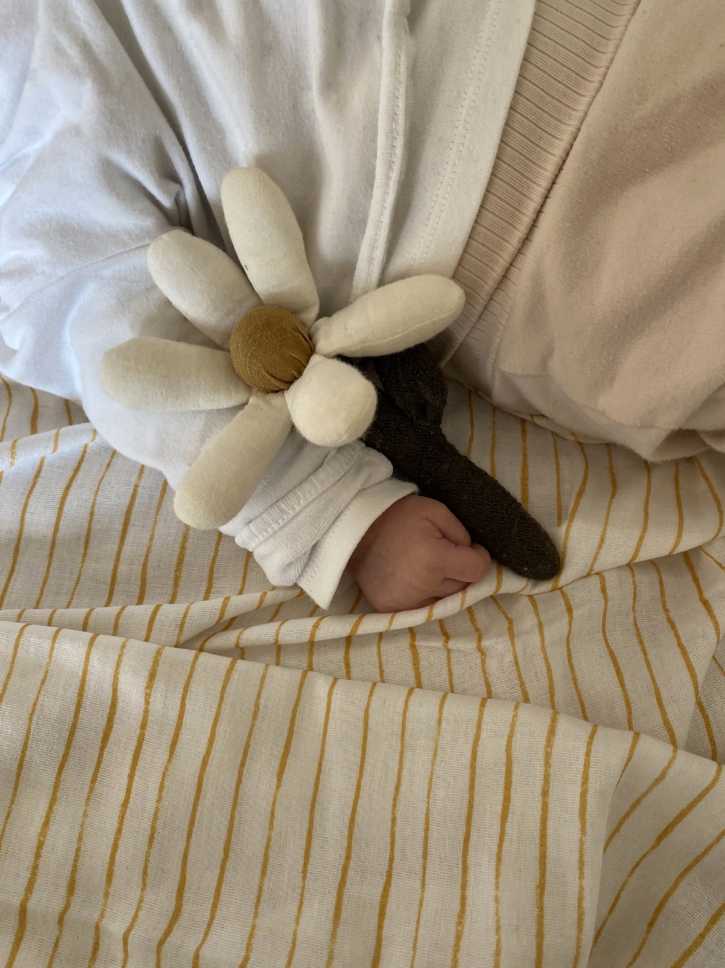 fiore di mamma